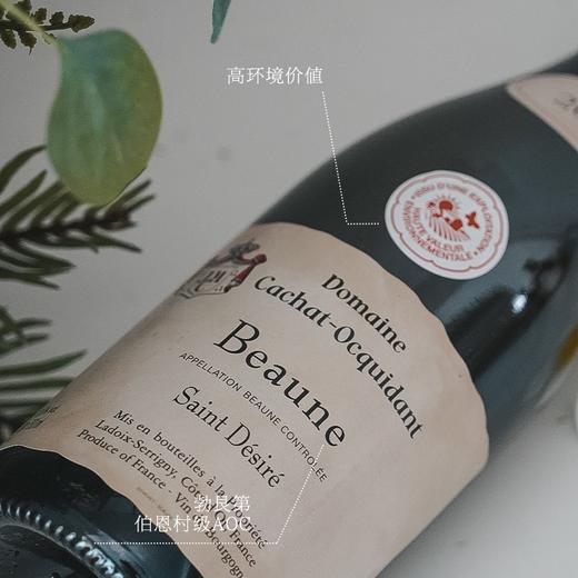 【《 葡萄酒评价》杂志高分】菲特瓦 凯撒世家 伯恩圣特西村庄级干白葡萄酒 勃艮第伯恩村级AOC 13.5%vol 商品图3