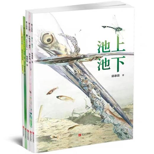 池上池下-爱上自然系列绘本（给3—8岁孩子的自然与科学、美学与文学课，丰子恺儿童图画书奖获奖作品 套装全5册） 商品图0