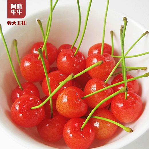 【酸甜小樱桃】德昌小樱桃3斤/5斤装 商品图0