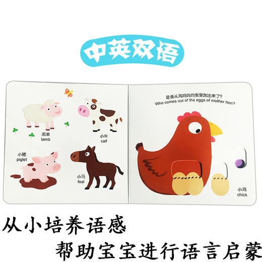 【优惠套装】汉英对照低幼纸板双语认知书全4册水果形状颜色动物洞洞书立体绘本 宝宝0-3周岁撕不烂启蒙早教认知书籍幼儿立体翻翻书抽拉机关术 商品图3