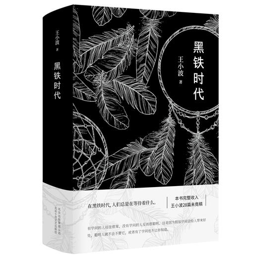 正版包邮 黑铁时代 王小波小说集 时代三部曲之一 王小波经典文学 王小波短篇集 经典文学随笔小说 商品图1