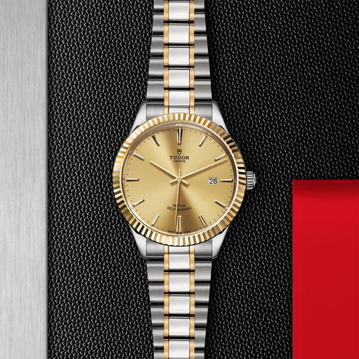 帝舵风尚系列 | 钢表壳，直径41毫米，黄金外圈 商品图0