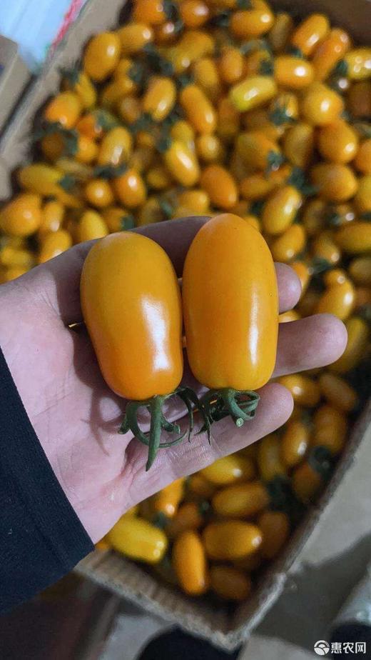 黄花生柿子500克