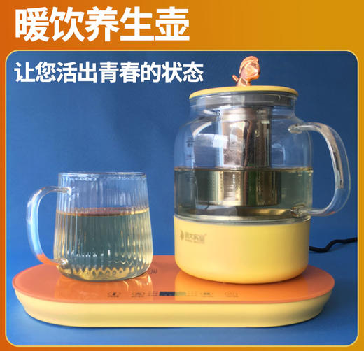 养生壶2022新款养生壶热销榜家用多功能旗舰店暖暖杯保温组合套装 商品图1