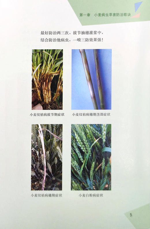 作物病虫草害防治歌诀 商品图9