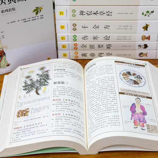 【优惠套装】6册国医典藏中医名著图解本草纲目黄帝内经神农本草经伤寒论汤头歌诀温病条辨中医大全入门基础理论养生健康偏方秘方书籍 商品图3