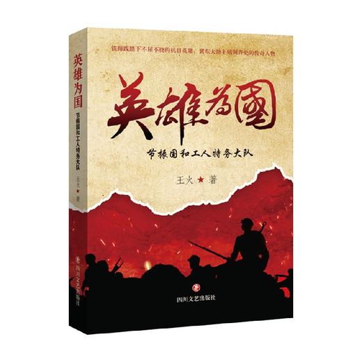 英雄为国 节振国和工人特务大队 王火 著 小说 商品图0