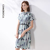 科蒙博卡夏季衬衫领OL风真丝裙女 淡色条纹印花桑蚕丝连衣裙KXNX001977B1 商品缩略图2