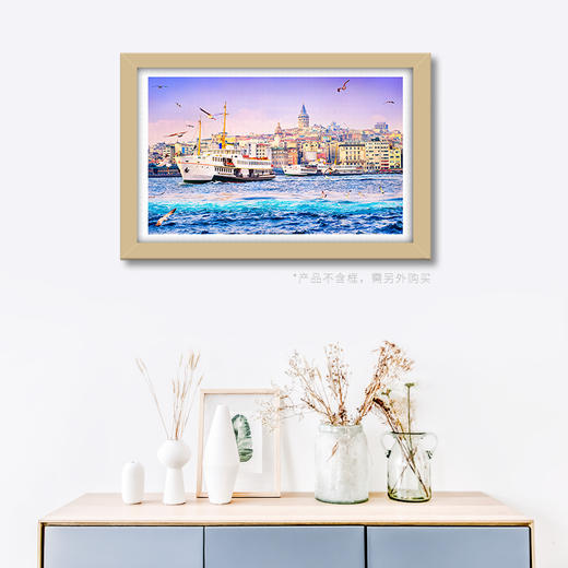 1000片 平面拼图 塑料拼图H2050 土耳其-金角湾 商品图2