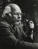 《第三帝国的兴亡：纳粹德国史》（全四卷） 商品缩略图2
