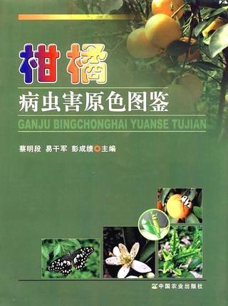 柑橘病虫害原色图鉴【中国农业出版社官方正版】  蔡明段主编 柑橘种植必备 柑橘实用 商品图3