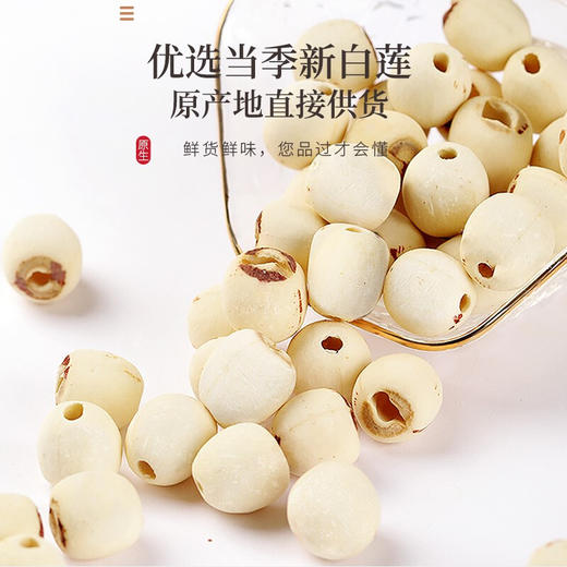 福东海 莲子400g 去芯磨皮通芯湘潭莲子可搭白莲子炖汤煲汤红枣枸杞百合桂圆银耳糖水甜汤食材 商品图1
