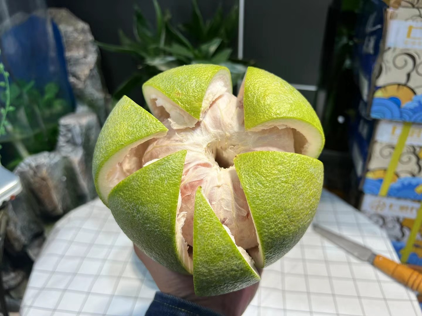 翡翠金柚一份4个