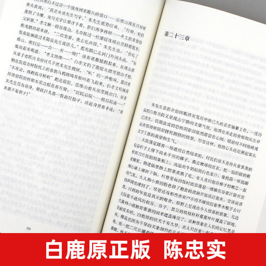 白鹿原 正版 陈忠实 典藏版无删减 茅盾文学奖 人民文学出版社 白鹿原电视剧 青春文学小说畅销书籍 商品图2