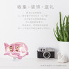 【折扣商品 不退不换】80片 飞机塑料拼图 E5184 浪漫假期-欧洲篇蛋形飞机 商品缩略图2