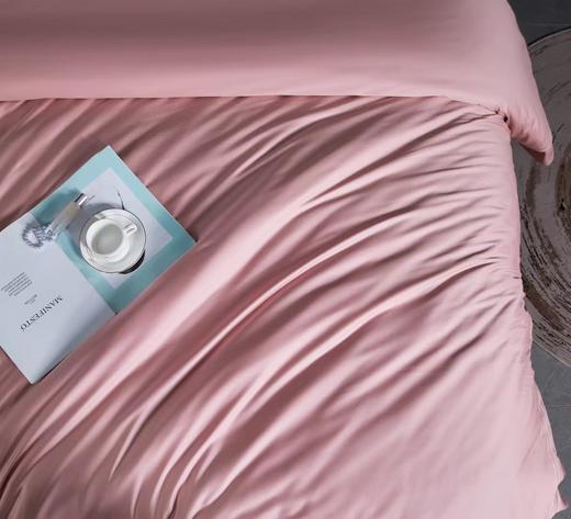 床品四件套 床单被罩套件 床上用品 简爱 商品图6