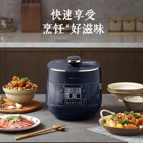 松下（Panasonic）2L迷你智能电压力锅 多功能可预约电压力煲 开盖煮全自动排气 SR-PB201-B