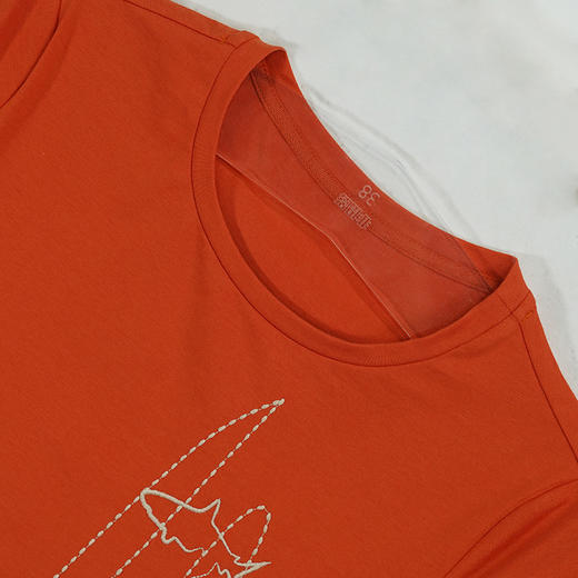 VIVIAN LIU D2237305夏女装新款圆领撞色绣花半袖上衣 商品图2