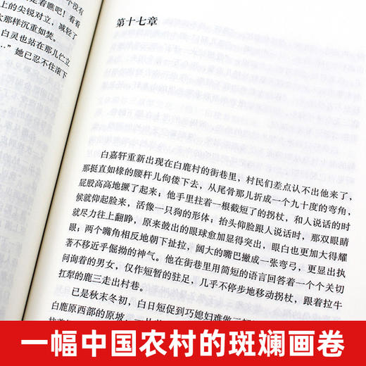 白鹿原 正版 陈忠实 典藏版无删减 茅盾文学奖 人民文学出版社 白鹿原电视剧 青春文学小说畅销书籍 商品图3