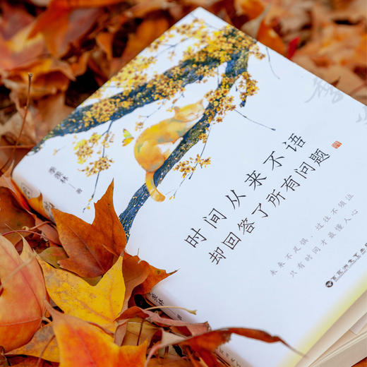 时间从来不语却回答了所有问题  文学大师季羡林著百岁人生的智慧精粹未来不足惧过往不须泣 商品图1
