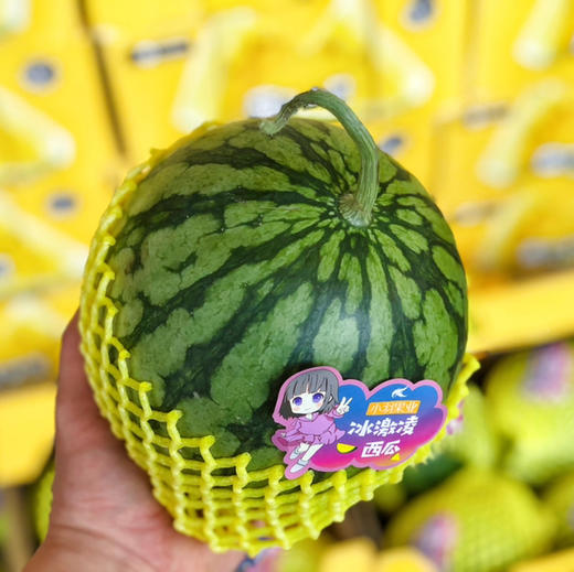 【小羽 黄西瓜】小羽黄西瓜/黑骑士，台湾引种，布丁小兰西瓜，黄瓤黑籽，口感嫩甜多汁，水份超级足！ 商品图6