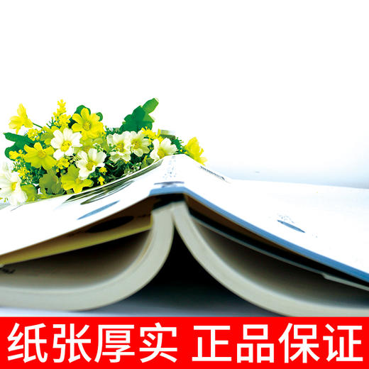 【正版】马斯洛论自我超越 包括人本心理学科学观的理论、需要层次论、自我实现理论、元动机理论、心理治疗理论、高峰体验理论等 商品图4
