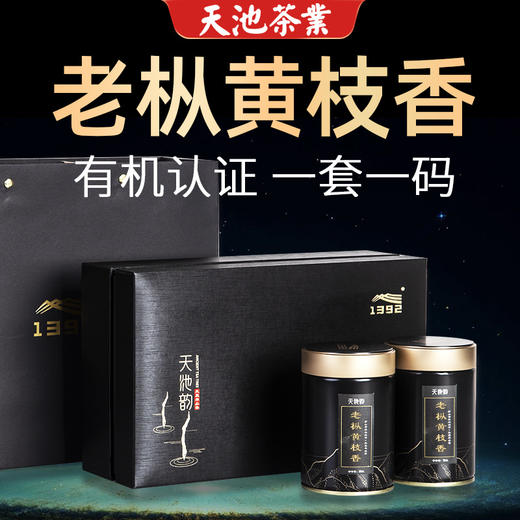 天池茶业 1392 凤凰单枞 老枞黄枝香50g*2罐 商品图2