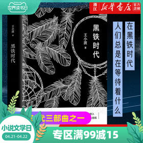 正版包邮 黑铁时代 王小波小说集 时代三部曲之一 王小波经典文学 王小波短篇集 经典文学随笔小说