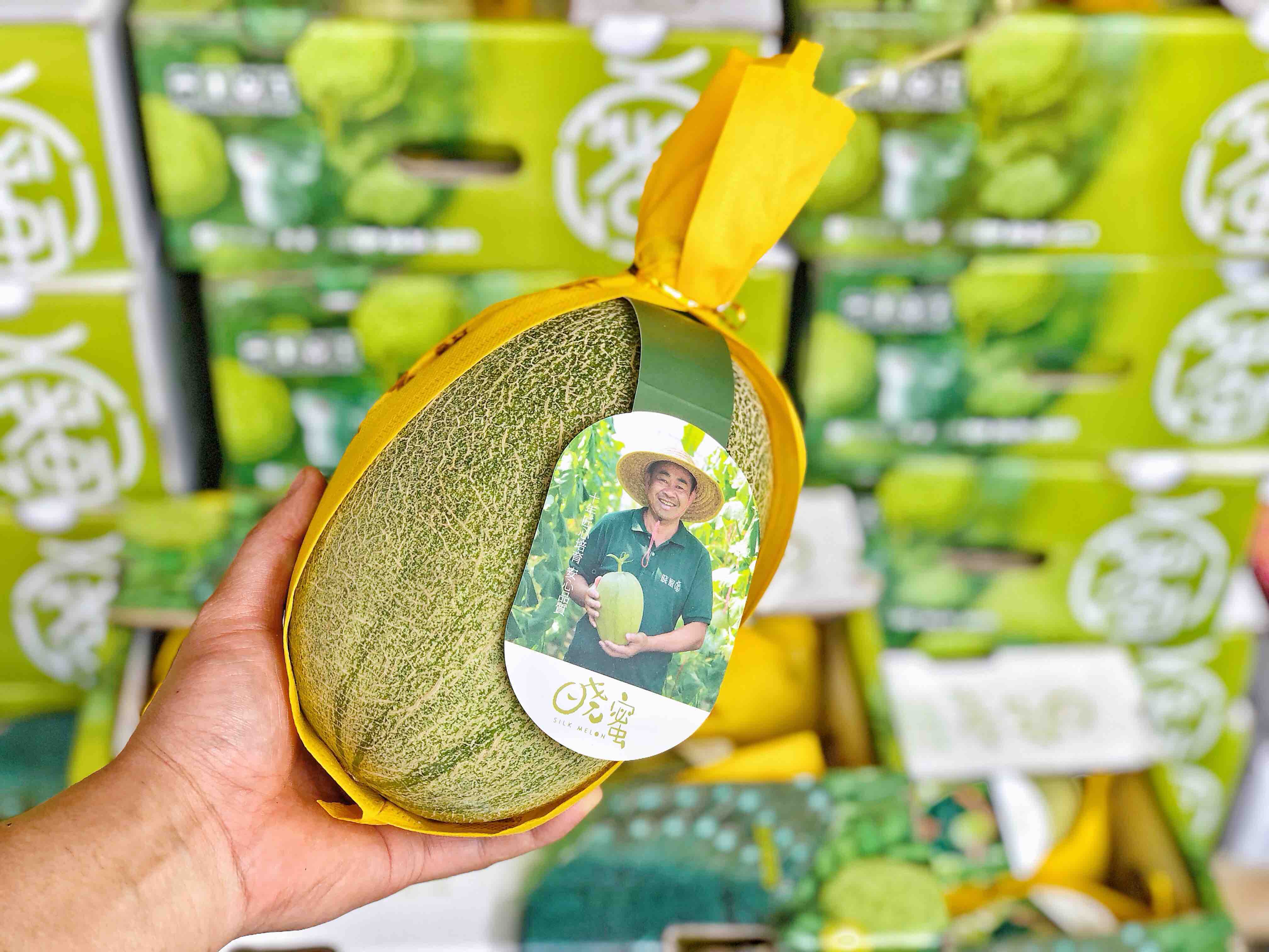 正宗晓蜜胜杰丝路晓蜜哈密瓜脆甜口感瓜瓤黄色甜度非常高多汁又好吃