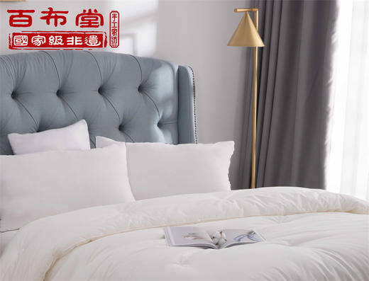 （乡村振兴商品）百布堂原棉大豆春秋被 200*230 商品图1