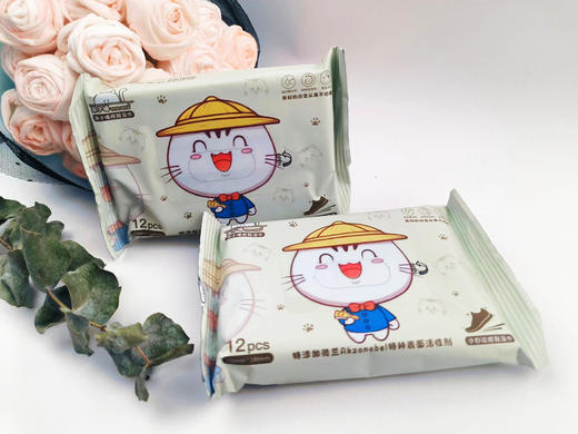 潮小喵小白边擦鞋湿巾12片鞋湿巾小白鞋洗鞋神器小白运动鞋清洁湿纸巾去污一擦白鞋边 商品图1