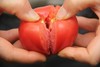 【新疆直邮·普罗旺斯沙瓤西红柿】 一口回到20年前的味道 5斤装 商品缩略图2