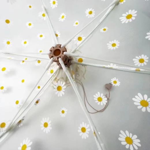 【美观大方牢固】小邹菊菜罩组合（大号+小号） 商品图3