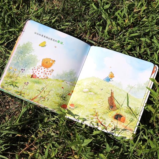 (仓发) 小熊兄妹快乐成长系列(套装共8册）/娃娃龙图画书系列/接力出版社/陈晖/9787544867610 商品图4