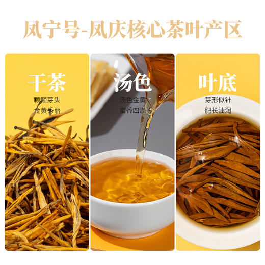 凤宁号【蜜韵大金针2盒】云南凤庆滇红大金针 125g*2盒 商品图2