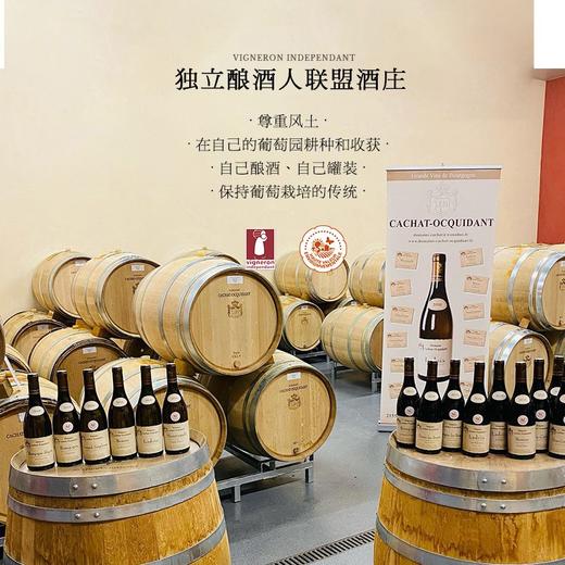 【《 葡萄酒评价》杂志高分】菲特瓦 凯撒世家 伯恩圣特西村庄级干白葡萄酒 勃艮第伯恩村级AOC 13.5%vol 商品图1