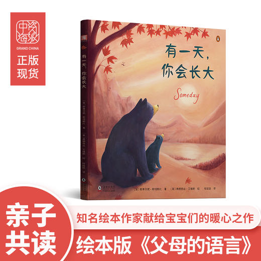 成长绘本：有yi天，你会长大+有yi天，你将出发+小鸟的抱抱 商品图1