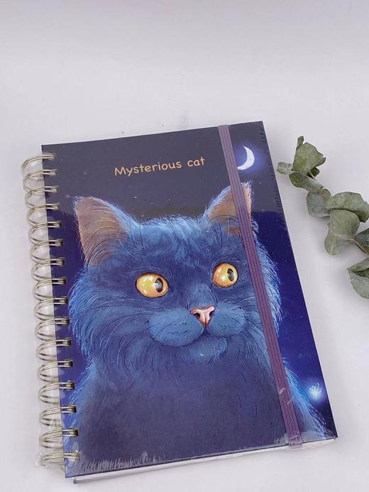 米凯伦线圈本A580克140张14.5*21CM 商品图1