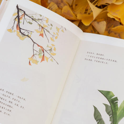 时间从来不语却回答了所有问题  文学大师季羡林著百岁人生的智慧精粹未来不足惧过往不须泣 商品图3