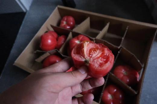 【新疆直邮·普罗旺斯沙瓤西红柿】 一口回到20年前的味道 5斤装 商品图3