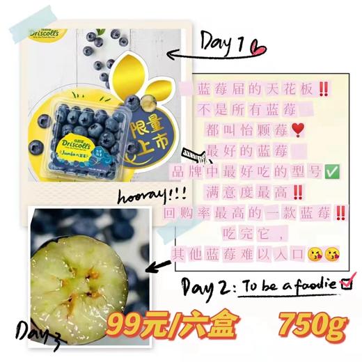 团盟保供   品优价美 商品图2