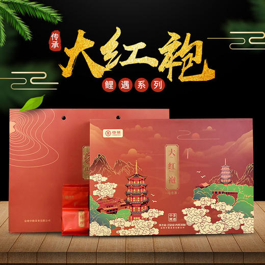 中茶海堤茶叶 鲤遇大红袍礼盒 250g（30泡）茶叶礼盒【天猫同款】 商品图0