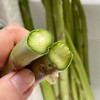 青色一级鲜芦笋 2斤装  顺丰快递 商品缩略图1