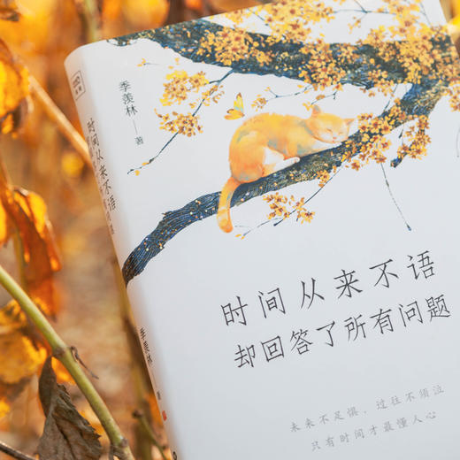 时间从来不语却回答了所有问题  文学大师季羡林著百岁人生的智慧精粹未来不足惧过往不须泣 商品图2