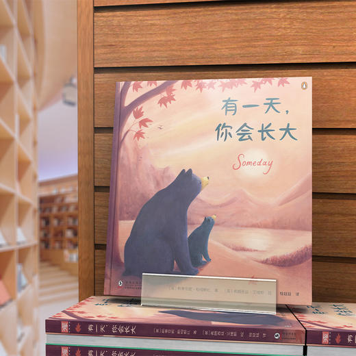 成长绘本：有yi天，你会长大+有yi天，你将出发+小鸟的抱抱 商品图3