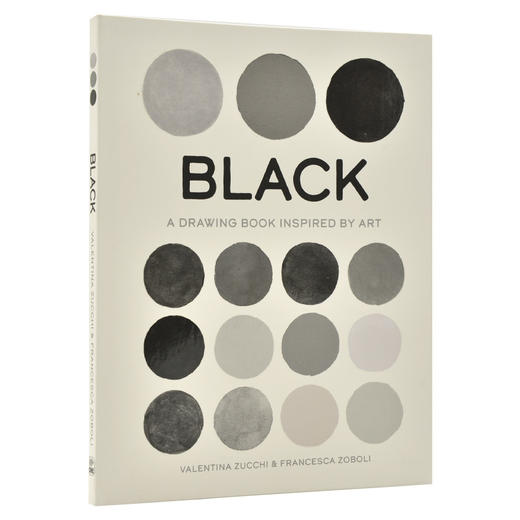 黑色:图画启发艺术 英文原版 Black : A Drawing Book Inspired by Art 瓦伦蒂娜·祖奇 艺术色彩画集 画册 商品图4