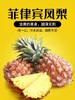 团盟保供   品优价美 商品缩略图3