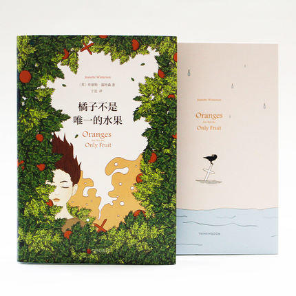 橘子不是唯一的水果 中文版 珍妮特温特森 外国现当代青春励志文学自我成长英文原版小说译本书籍 商品图2
