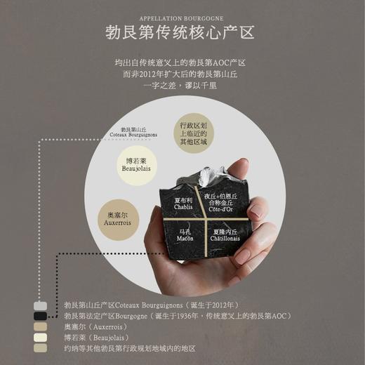 【《 葡萄酒评价》杂志高分】菲特瓦 凯撒世家 伯恩圣特西村庄级干白葡萄酒 勃艮第伯恩村级AOC 13.5%vol 商品图4