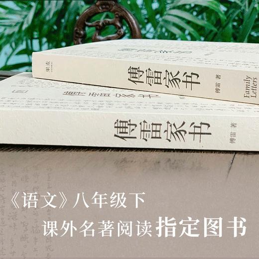 傅雷家书八年级下册正版完整版 傅聪文学经典 文学 书信 课外阅读  语文课外名著阅读指定图书 商品图4